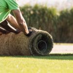 El césped de Champions para San Mamés se cultiva en La Garrocha